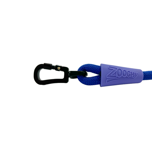 Rope Guide with Blue and Purple Carabiner