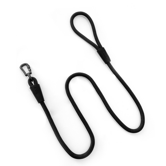 Rope Guide with Black Carabiner