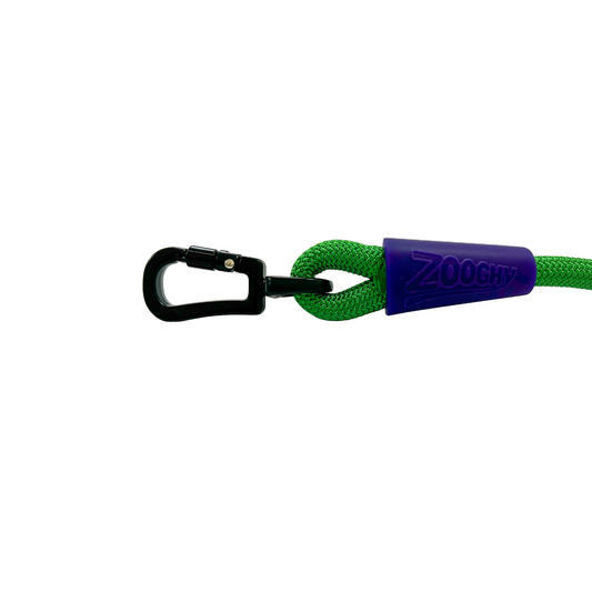 Green and Purple Rope Guide with Carabiner