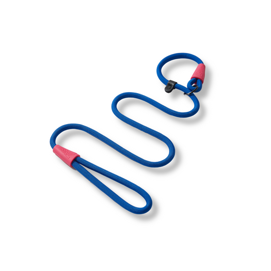 Guia Adestradora de Corda Azul