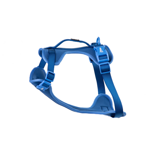 Blue Comfort Chest Strap