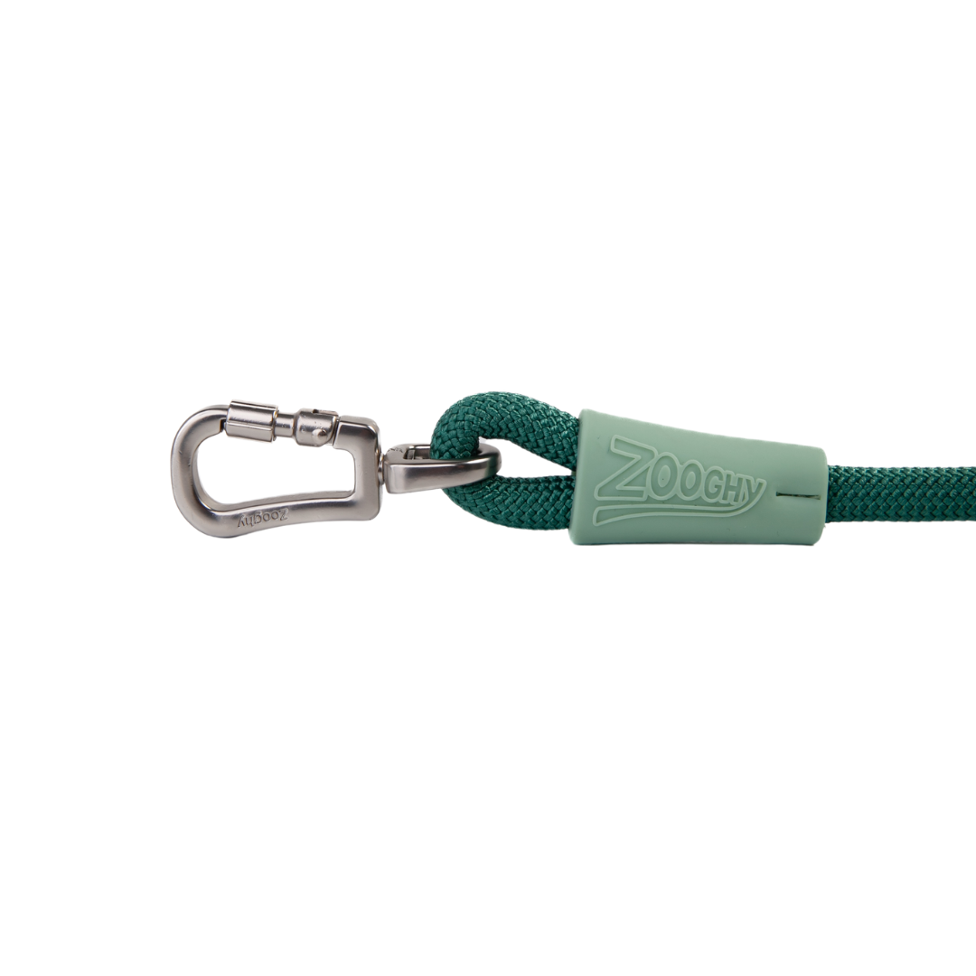 Guía de cuerda con gancho verde