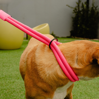 Collar de doble cuerda rosa
