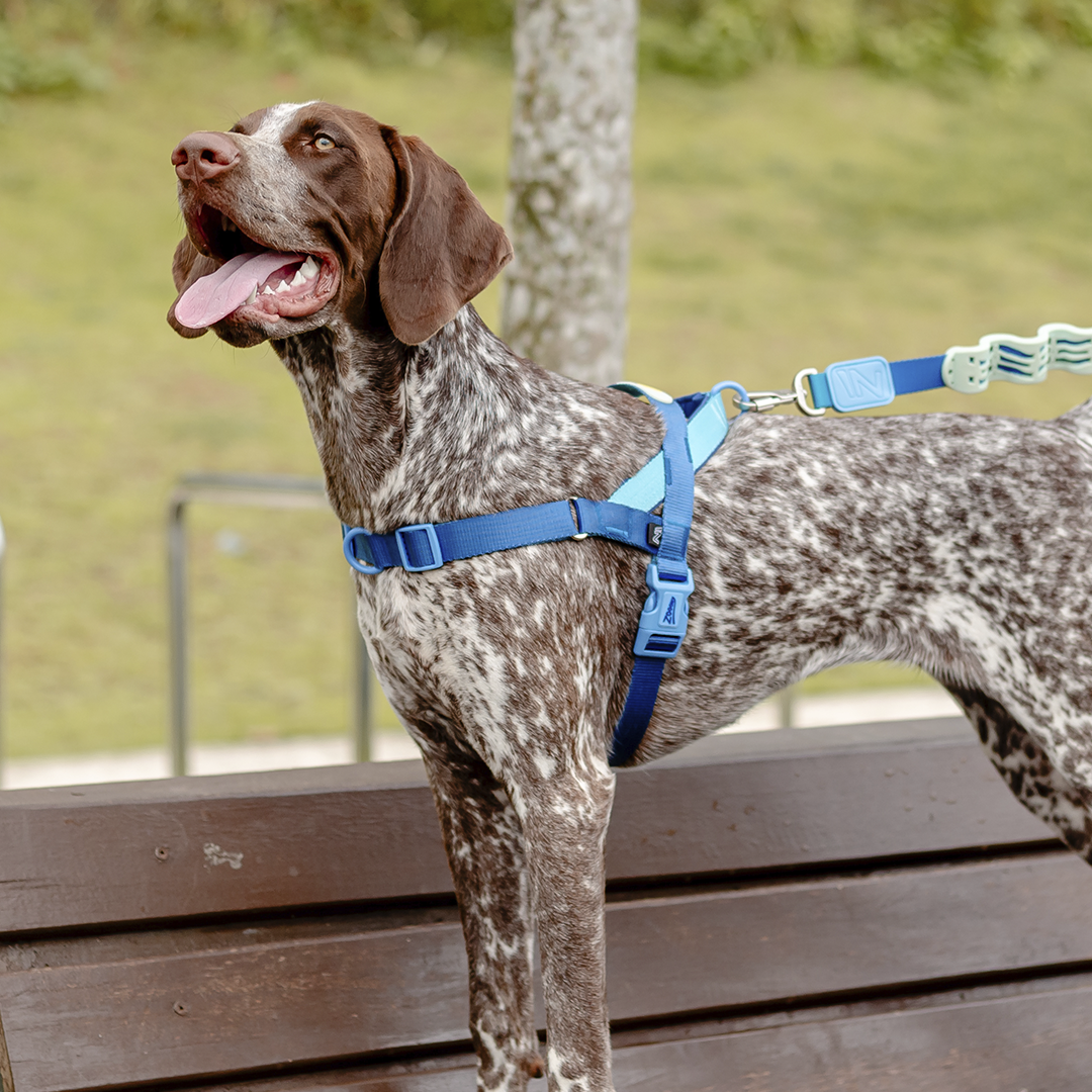 Peitoral Gentle Pull Azul