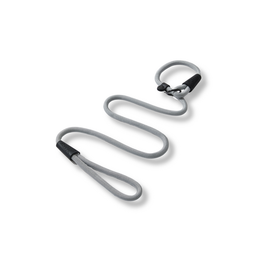 Silver Rope Trainer Guide