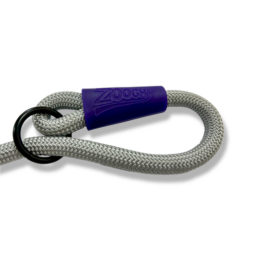 Silver and Purple Rope Training Lead