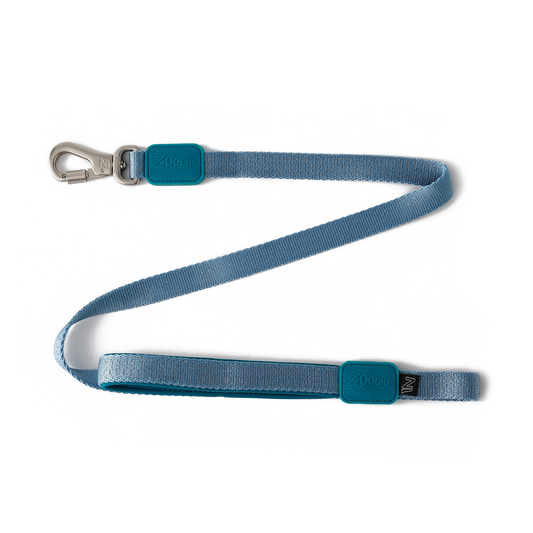 Guia Dog Glow Walk Azul