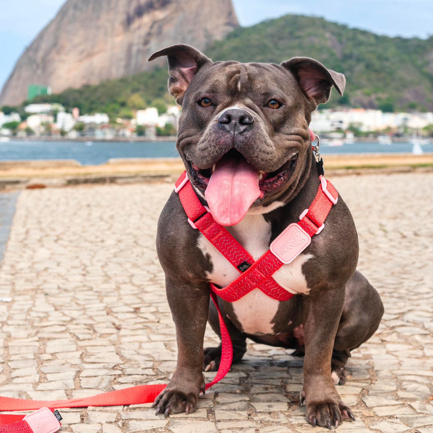 Peitoral X Glow Walk Vermelha - Borracha Rosa