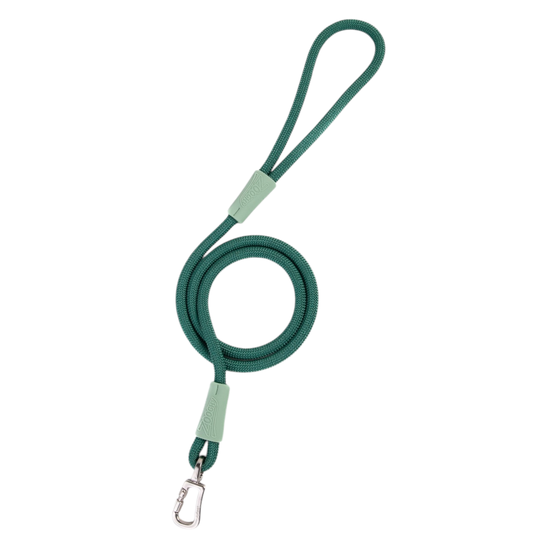 Guía de cuerda con gancho verde