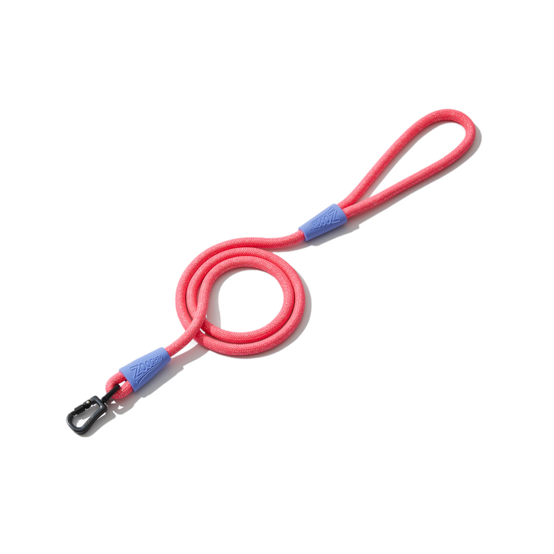 Guia de Corda Rosa Glitter - Borracha Lilás