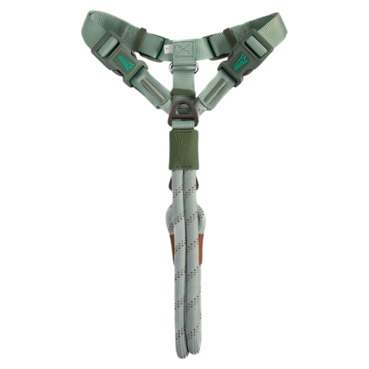 Peitoral Soft Pull