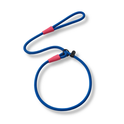 Guía de entrenamiento de cuerda azul