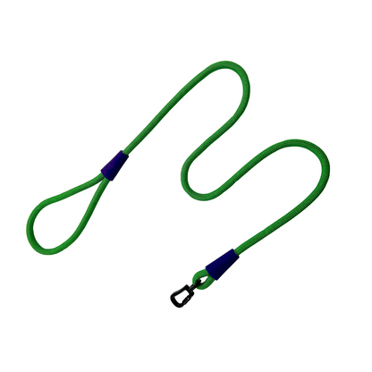 Green and Purple Rope Guide with Carabiner
