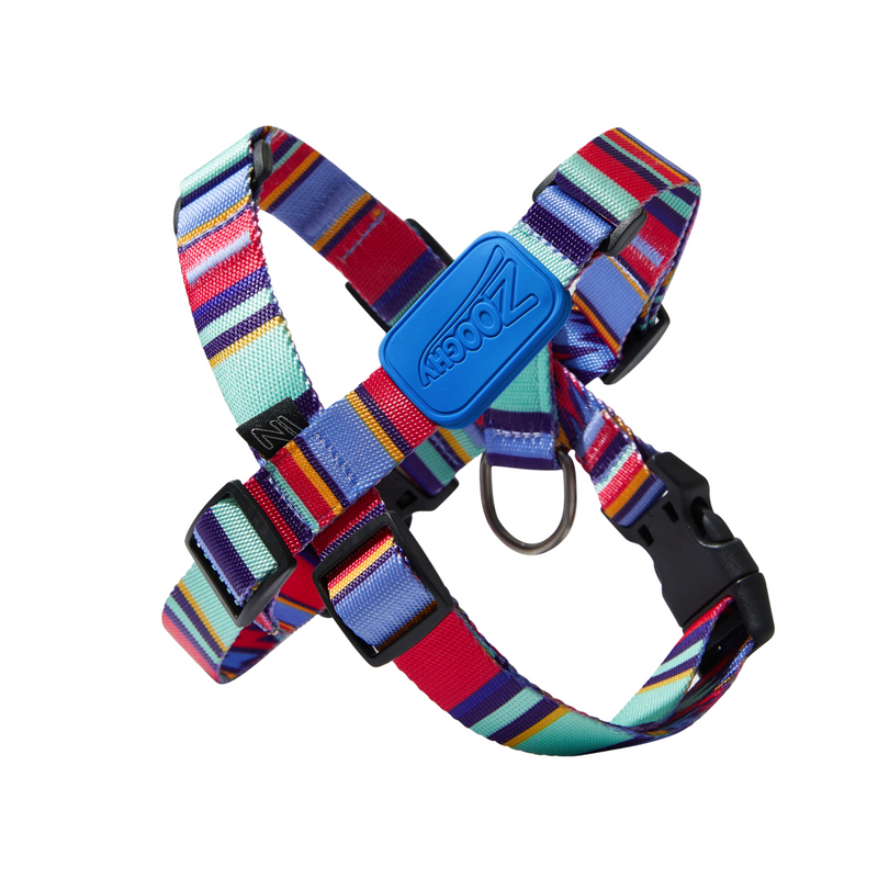 Peitoral X Raios e Listras - Borracha Azul