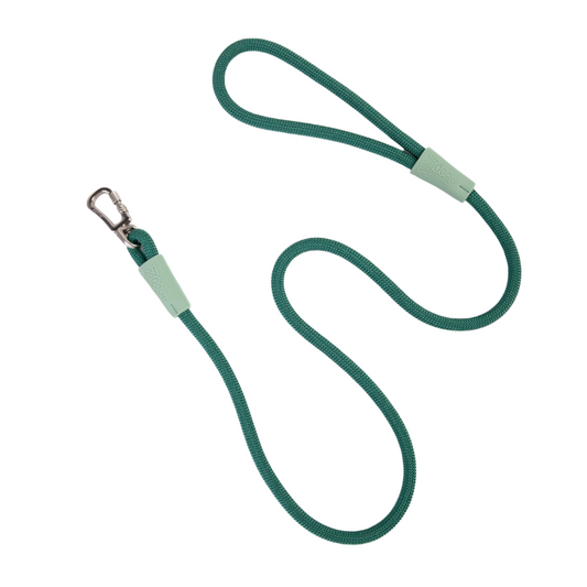 Rope Guide with Green Hook