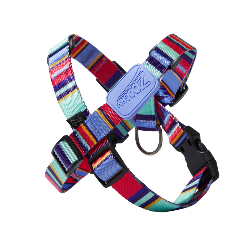 Peitoral X Raios e Listras - Borracha Violeta