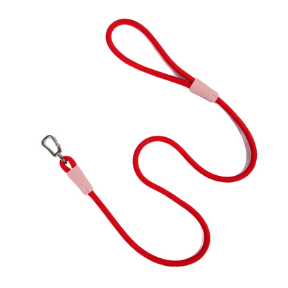 Rope Guide with Pink Hook