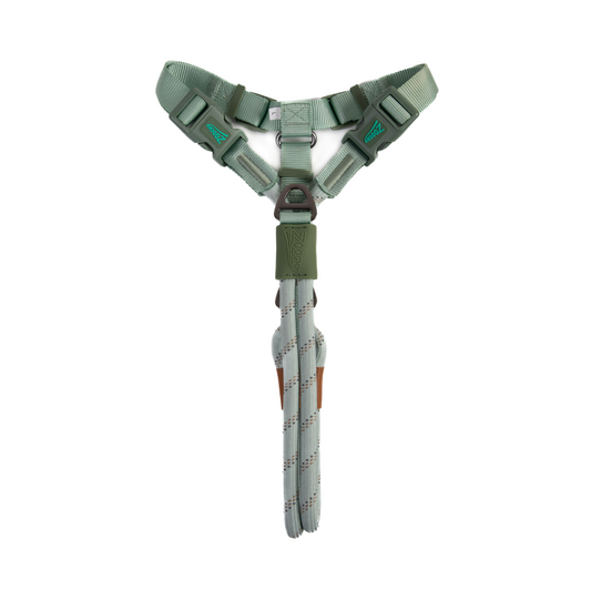 Peitoral Soft Pull
