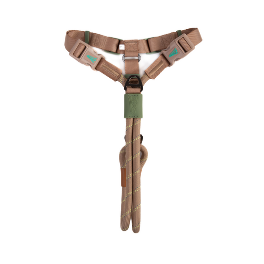 Peitoral Soft Pull