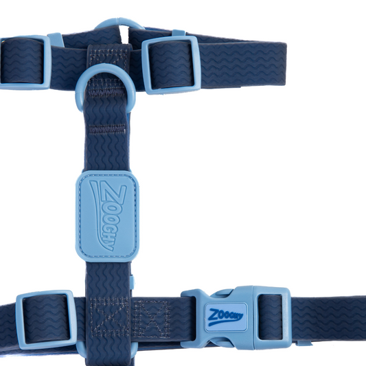Acqua Wave Blue Chest Strap