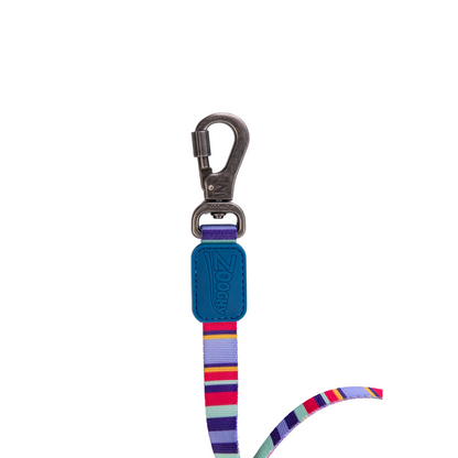 Correa para perro con diseño de rayos y rayas - Caucho azul