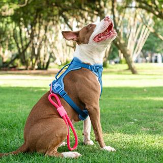 Correa de pecho cómoda azul