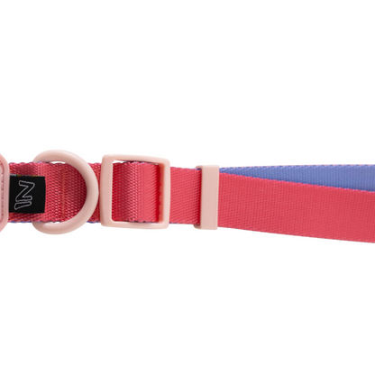 Coleira Dog Rosa e Violeta - Borracha Rosa