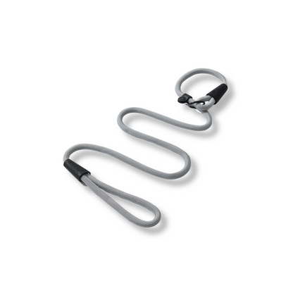 Guía del entrenador de cuerda plateada