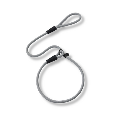 Guía del entrenador de cuerda plateada