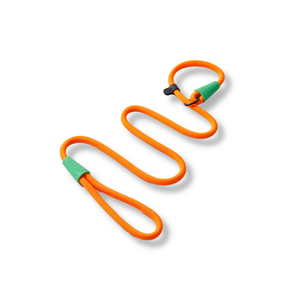 Guía de entrenamiento con cuerda naranja