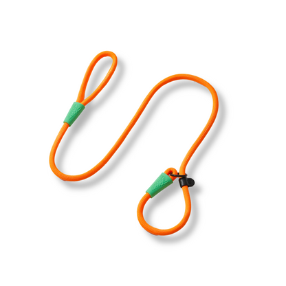 Guía de entrenamiento con cuerda naranja