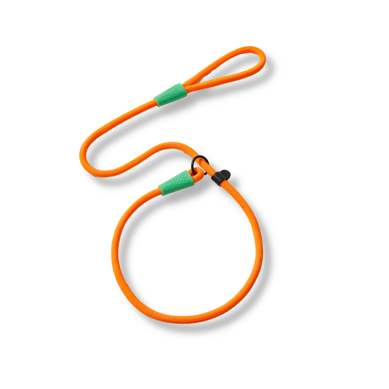 Guia Adestradora de Corda Laranja