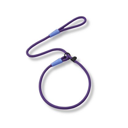 Guía del entrenador de cuerda morada