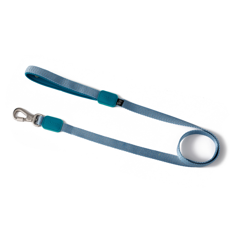 Guia Dog Glow Walk Azul