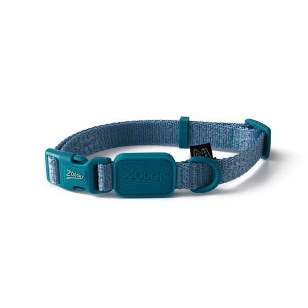 Coleira Dog Glow Walk Azul