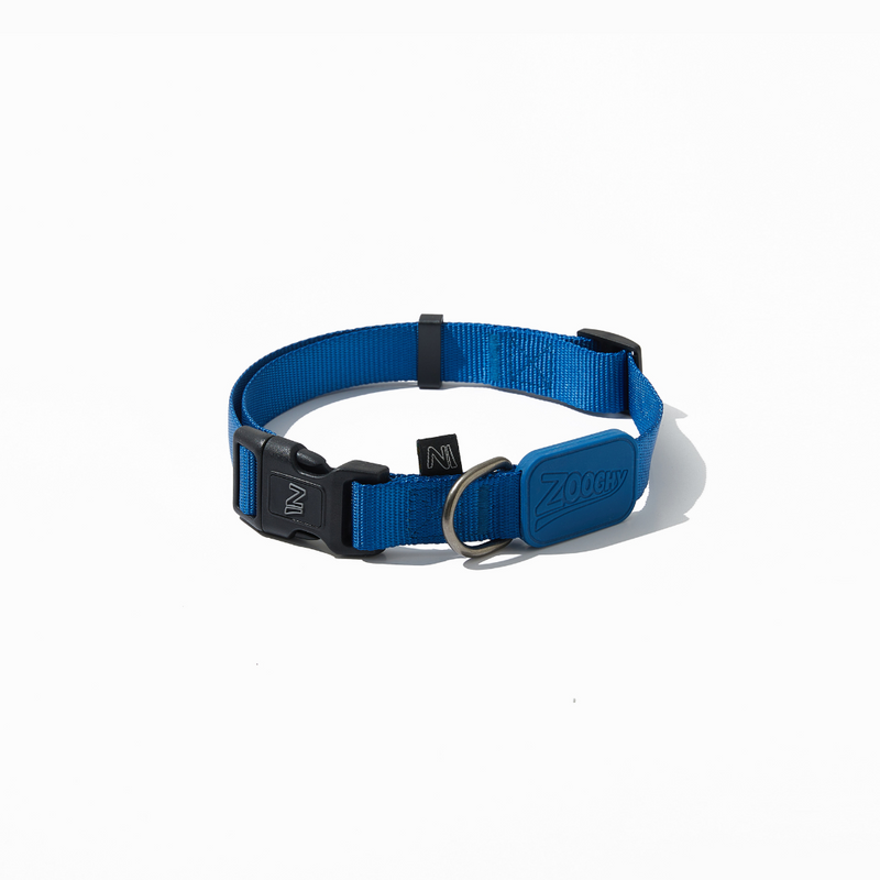 Coleira Dog Azul Marinho