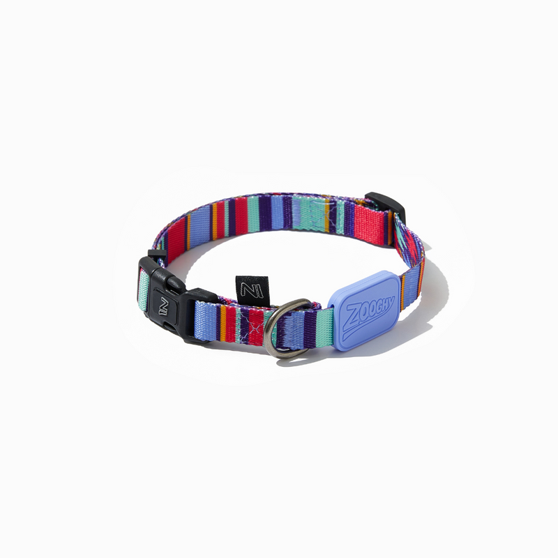 Coleira Dog Raios e Listras - Borracha Violeta
