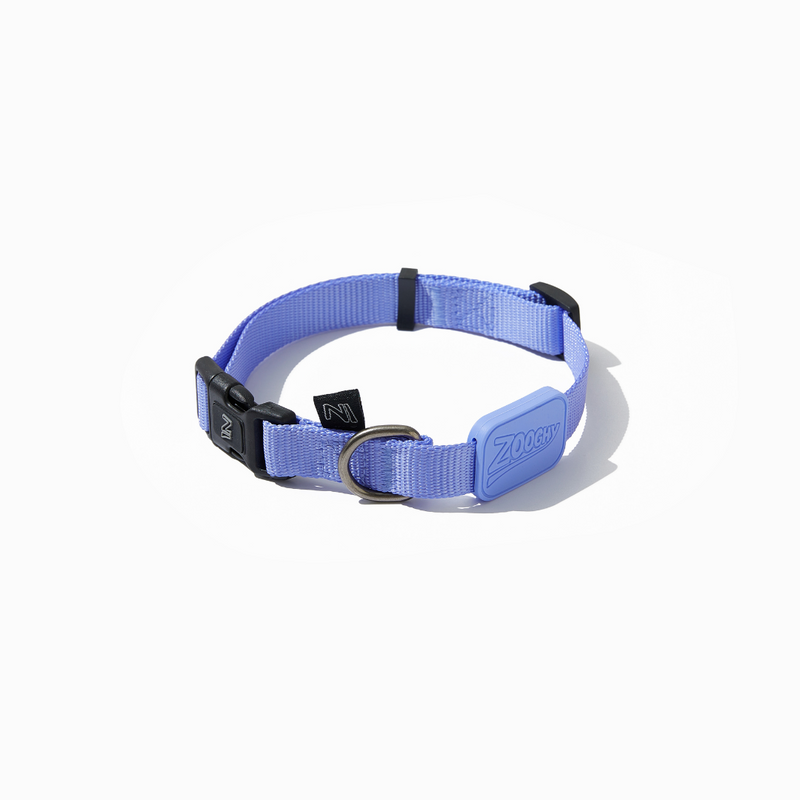 Collar de perro morado
