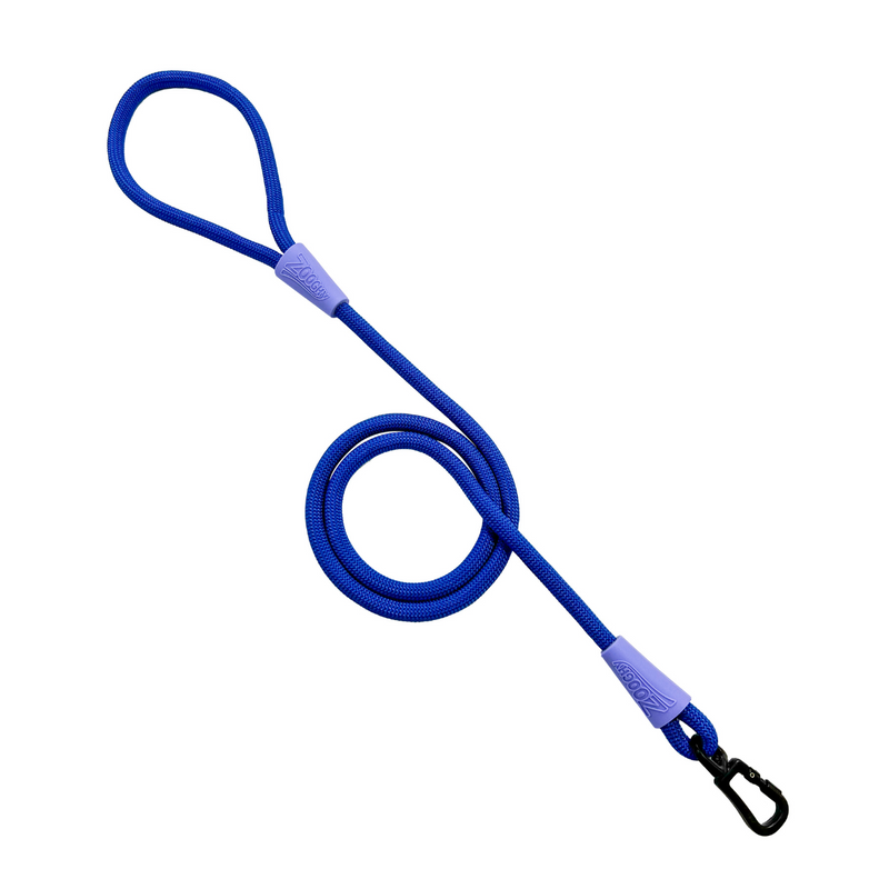 Guía de cuerda con mosquetón azul y morado