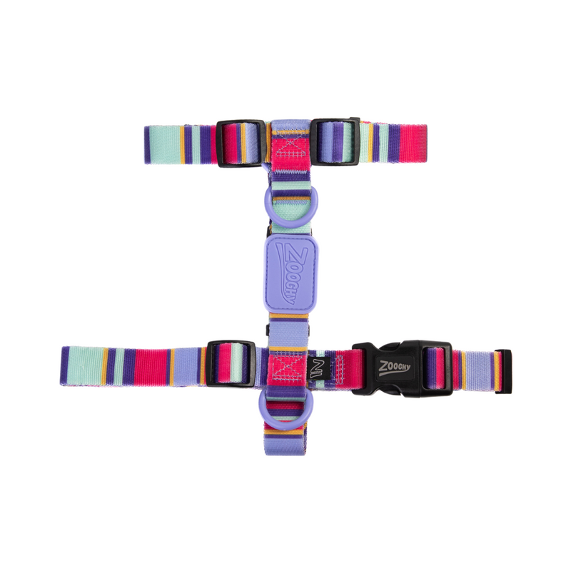 Peitoral H Raios e Listras - Borracha Violeta