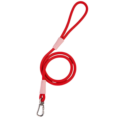 Rope Guide with Pink Hook