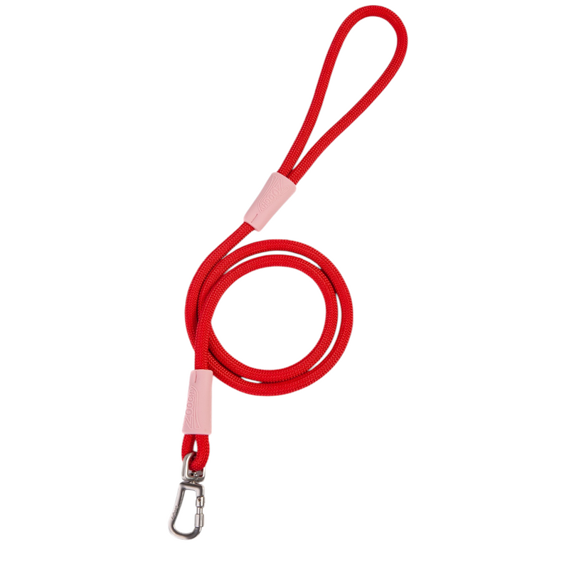 Guía de cuerda con gancho rosa